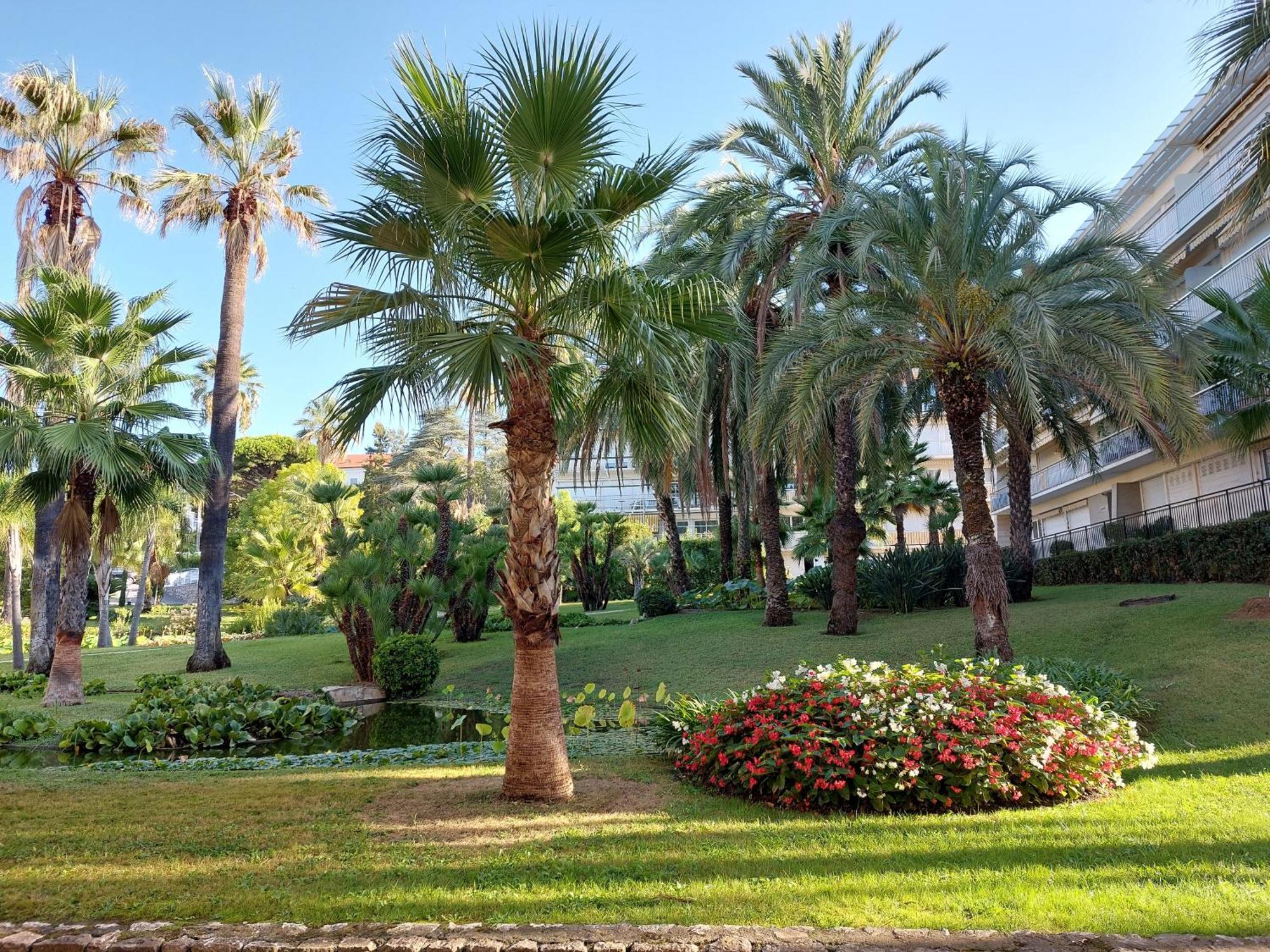 Studio Montrose Cannes - Axelle Loc'Appart מראה חיצוני תמונה